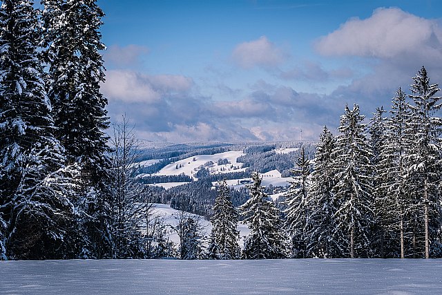 Sierra Nevada, el mejor destino turístico en Navidad. Así lo afirma Apartamentos Sierra Nevada Boabdil - 1, Foto 1