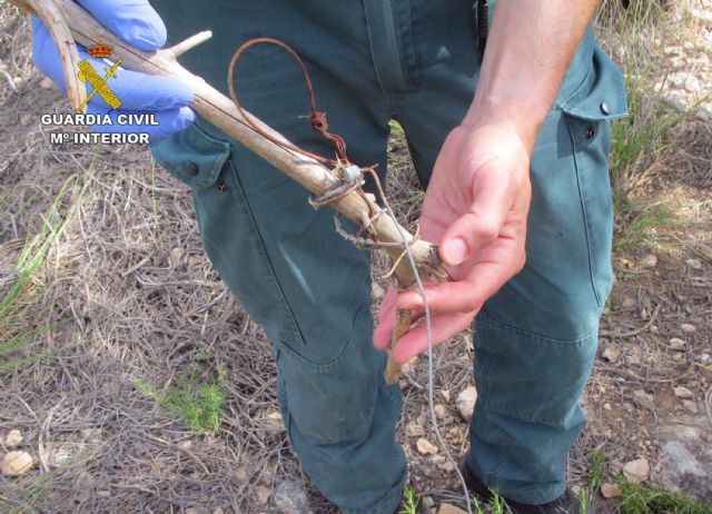 La Guardia Civil sorprende en Murcia a un cazador furtivo que utilizaba medios no selectivos de captura - 1, Foto 1