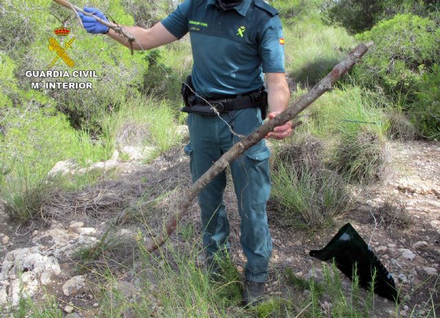 La Guardia Civil sorprende en Murcia a un cazador furtivo que utilizaba medios no selectivos de captura - 2, Foto 2