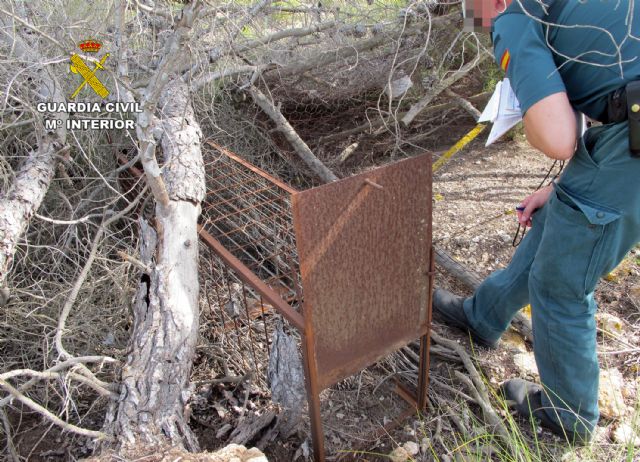 La Guardia Civil sorprende en Murcia a un cazador furtivo que utilizaba medios no selectivos de captura - 3, Foto 3