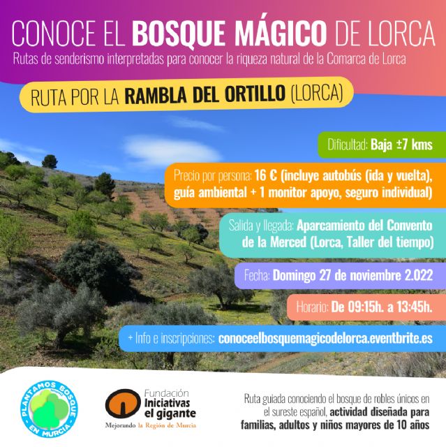 La Fundación Iniciativas El Gigante y la Asociación Regional Bosqueo2 lanzan su primer proyecto Conoce el bosque Mágico de Lorca - 1, Foto 1