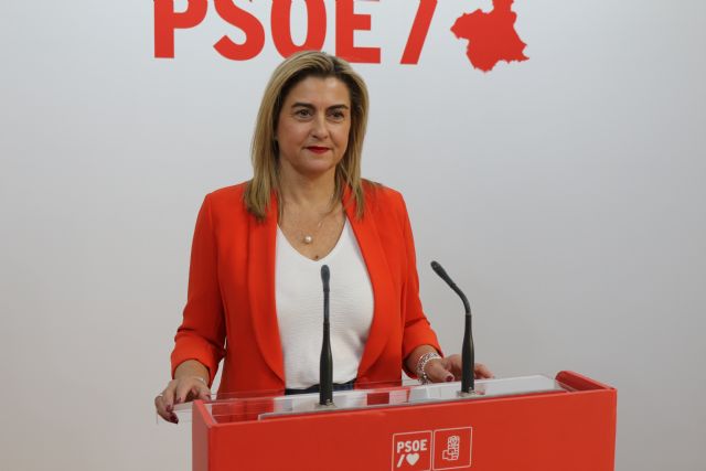 Carmina Fernández: La actitud del Partido Popular es irresponsable, hipócrita y cínica - 1, Foto 1