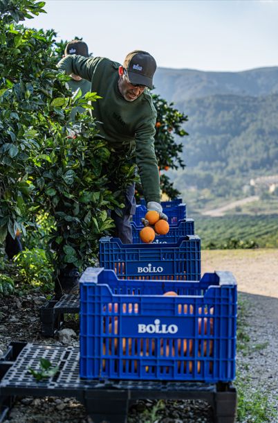 Bollo Natural Fruit se suma al movimiento B Corp - 1, Foto 1