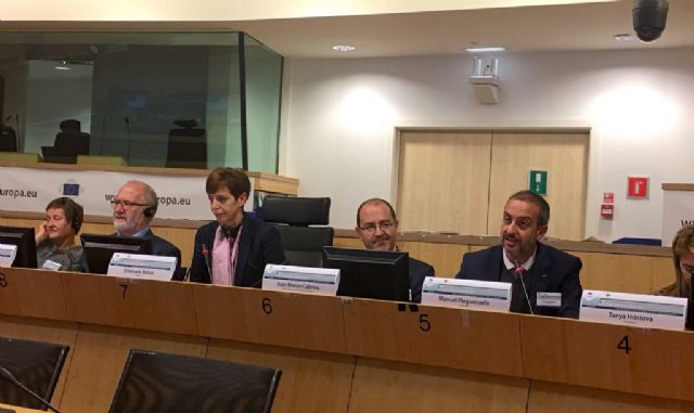 La Comunidad aporta su punto de vista a un dictamen europeo sobre transformación de residuos en energía - 1, Foto 1