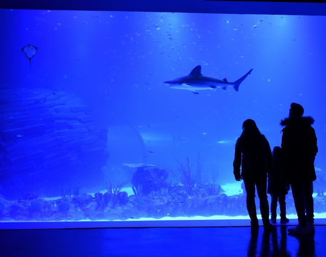 Atlantis Aquarium, primer acuario interactivo de Europa inspirado en el cambio climático - 1, Foto 1