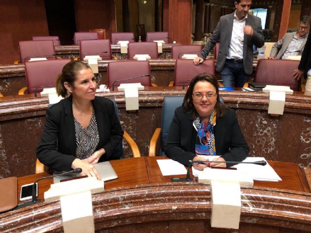 Elena Ruiz Valderas: El presupuesto de Turismo y Cultura garantiza la ejecución de la Ley de la Música en la que llevamos trabajando más de un año - 1, Foto 1