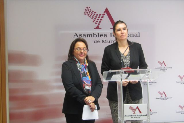 Elena Ruiz Valderas: El presupuesto de Turismo y Cultura garantiza la ejecución de la Ley de la Música en la que llevamos trabajando más de un año - 2, Foto 2