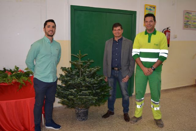 El edil de Educación hace entrega de los abetos de Navidad a los colegios de la localidad - 2, Foto 2