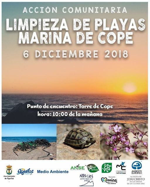 La Concejalía de Medio Ambiente organiza una acción comunitaria de retirada de residuos plásticos - 1, Foto 1