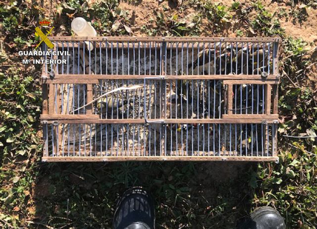 La Guardia Civil detiene in fraganti a tres cazadores furtivos en Cartagena - 3, Foto 3