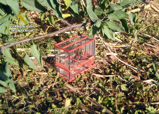 La Guardia Civil detiene in fraganti a tres cazadores furtivos en Cartagena - 4, Foto 4