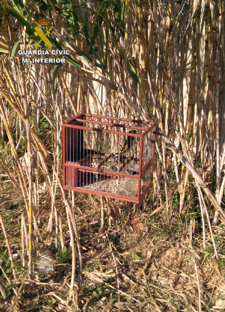 La Guardia Civil detiene in fraganti a tres cazadores furtivos en Cartagena - 5, Foto 5