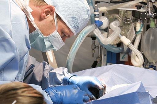 España alcanza un nuevo récord de actividad en donación de órganos, con la gestión de 19 donantes fallecidos en 24 horas - 1, Foto 1