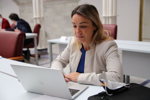 El PP solicita una macroencuesta regional sobre violencia de género en mujeres con discapacidad para poner luz y atajar esta lacra - 1, Foto 1
