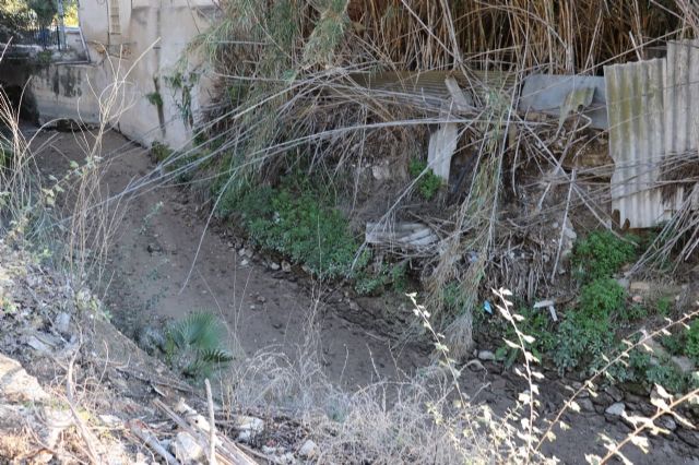 Huermur denuncia la aparición de peces muertos en la acequia mayor de Barreras - 2, Foto 2
