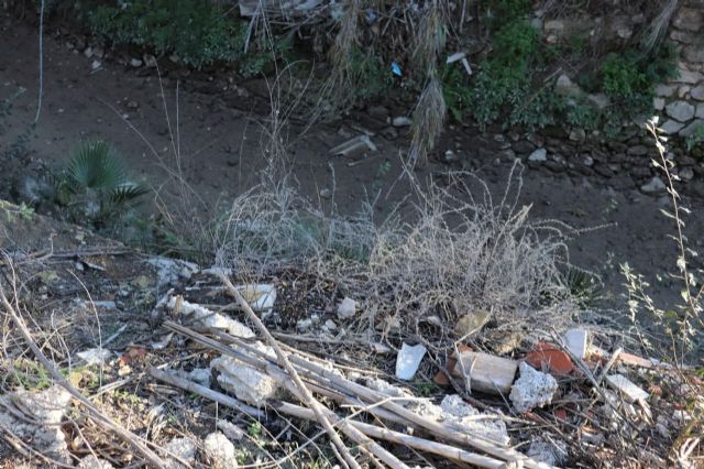 Huermur denuncia la aparición de peces muertos en la acequia mayor de Barreras - 4, Foto 4