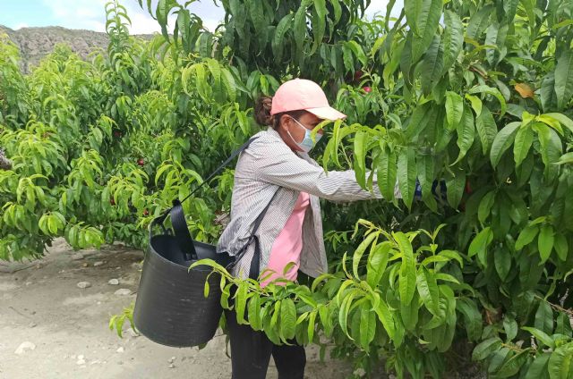 El sector agrario sigue creando empleo durante la crisis - 1, Foto 1