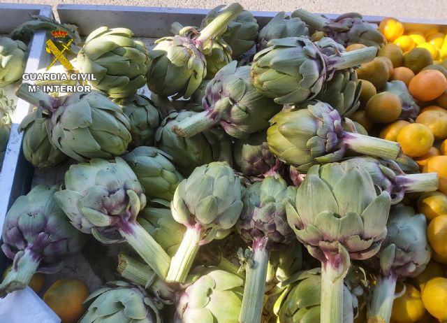 La Guardia Civil esclarece el robo de cinco toneladas de alcachofas de una finca de Yéchar - 1, Foto 1