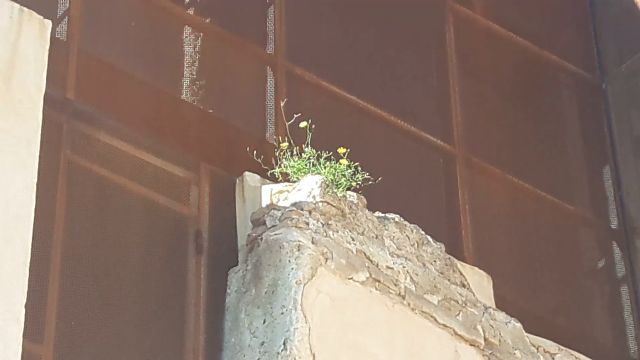 La iglesia de San Pedro, restaurada por el gobierno regional del PP con 700.000€, permanece cerrada desde hace más de dos años y medio, sin apenas uso - 1, Foto 1