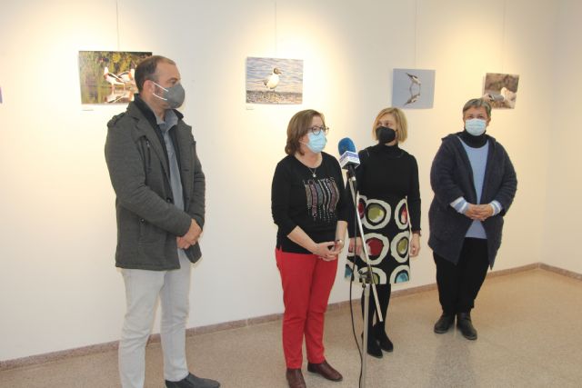 Ecocultural muestra la diversidad ornitológica del Mar Menor en una exposición fotográfica - 1, Foto 1