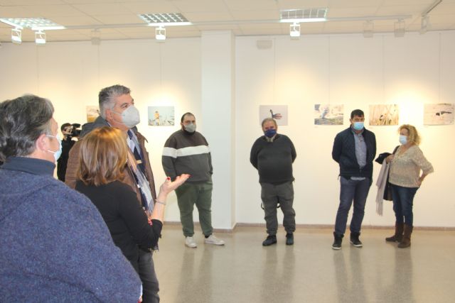 Ecocultural muestra la diversidad ornitológica del Mar Menor en una exposición fotográfica - 2, Foto 2