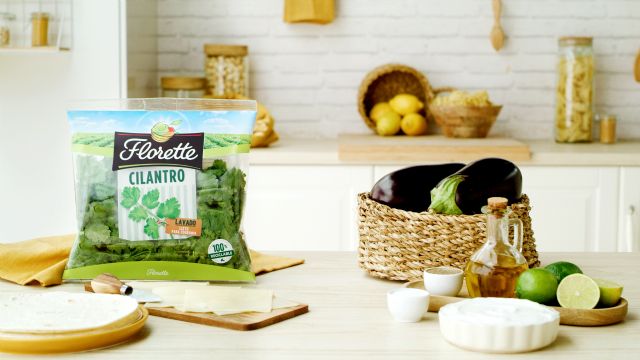 Disfruta de los beneficios del cilantro con estas cuatro recetas - 1, Foto 1