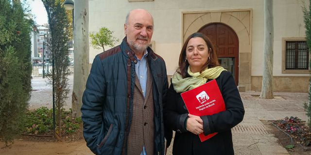 IU-Verdes acusa a López Miras de abandonar a las personas con discapacidad: La accesibilidad no puede esperar siete años ni depender del bolsillo de cada familia - 1, Foto 1