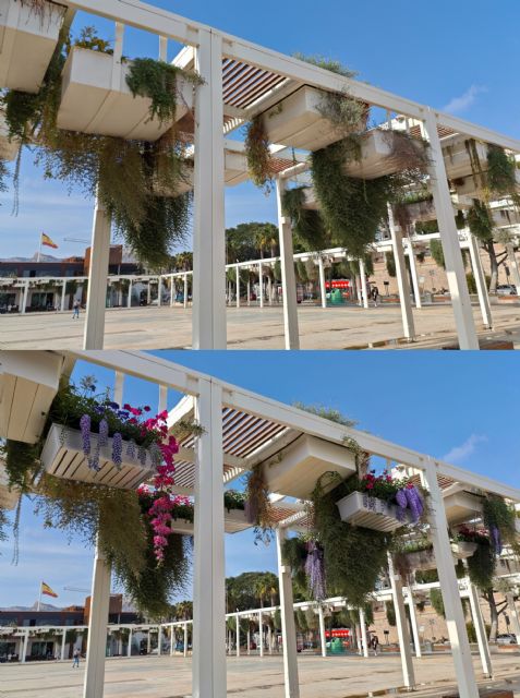 La APC activa el Proyecto de Refuerzo para revitalizar los espacios públicos del Puerto y su fachada marítima con jardinería y reposición de marras - 1, Foto 1