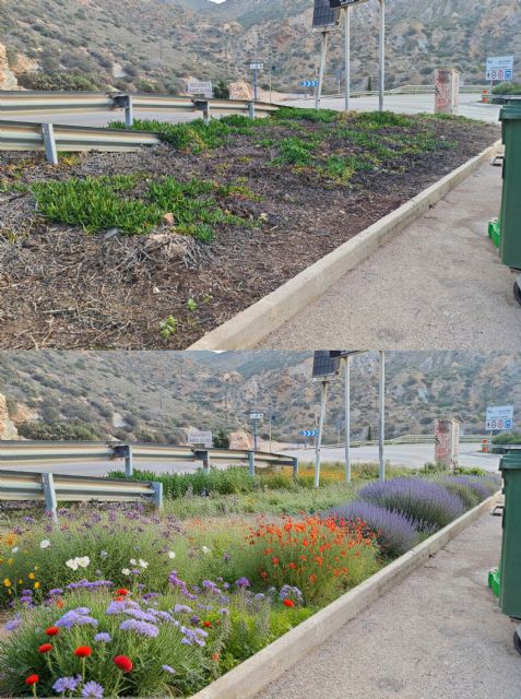 La APC activa el Proyecto de Refuerzo para revitalizar los espacios públicos del Puerto y su fachada marítima con jardinería y reposición de marras - 2, Foto 2