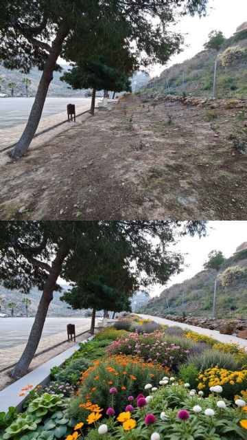 La APC activa el Proyecto de Refuerzo para revitalizar los espacios públicos del Puerto y su fachada marítima con jardinería y reposición de marras - 3, Foto 3