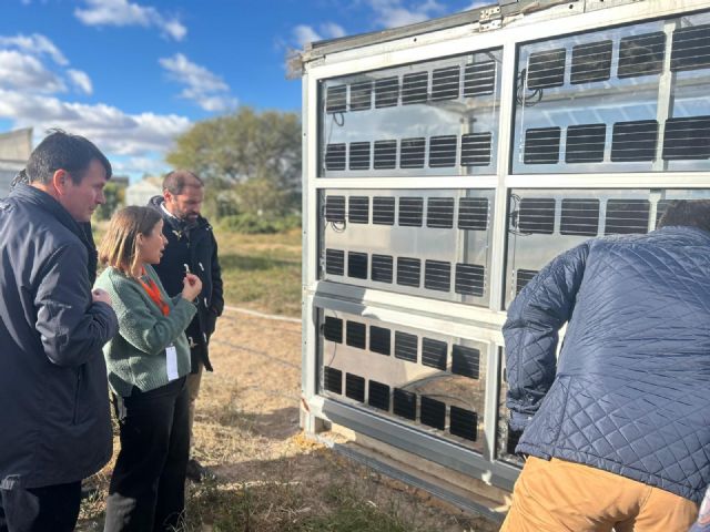 Agricultores, instituciones, investigadores y empresas comparten en Murcia el potencial de la agrovoltaica - 2, Foto 2