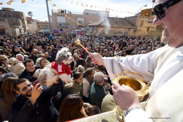 Comienzan las fiestas populares de San Antón del 6 al 20 de enero - 1, Foto 1