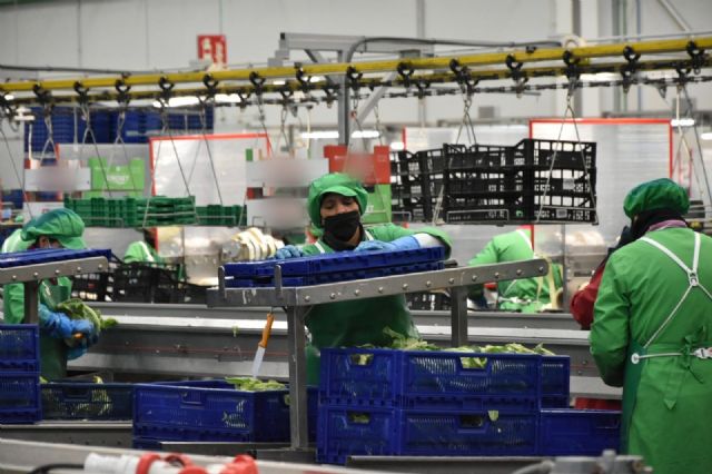 El mes de diciembre cerró en el municipio de Lorca con 4.160 desempleados, 175 parados menos que el mes anterior, un claro ejemplo de recuperación - 1, Foto 1