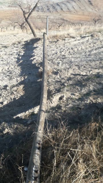 Los vecinos de Nogalte sufren otros dos robos de tendido eléctrico en su pedanía durante la pasada noche, con más de medio kilómetro de cable sustraído - 3, Foto 3