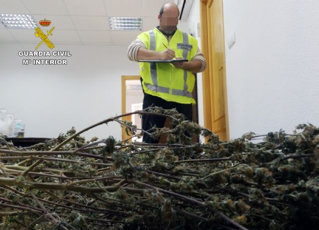 La Guardia Civil sorprende a un grupo delictivo sustrayendo una plantación de marihuana en una vivienda de Murcia - 1, Foto 1