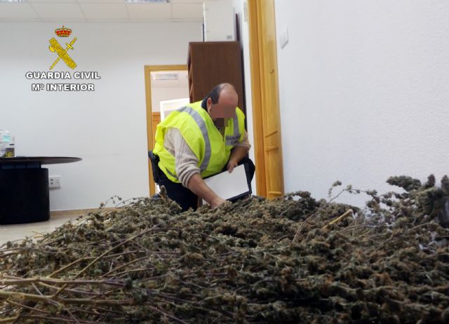 La Guardia Civil sorprende a un grupo delictivo sustrayendo una plantación de marihuana en una vivienda de Murcia - 2, Foto 2