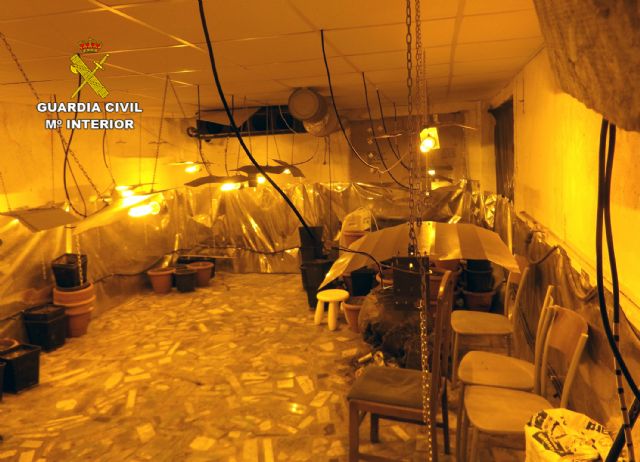 La Guardia Civil sorprende a un grupo delictivo sustrayendo una plantación de marihuana en una vivienda de Murcia - 5, Foto 5