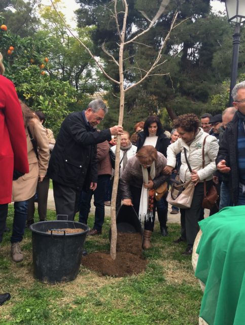 La AECC de Alhama planta 