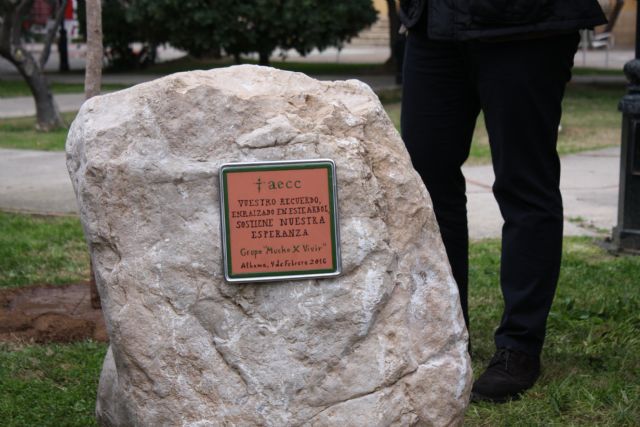 La AECC de Alhama planta 