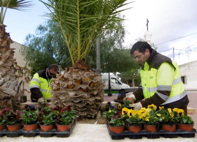 Más de 200 flores embellecerán la pedanía de Valladolises con motivo de las fiestas de la Candelaria - 2, Foto 2