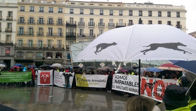 Más de 6.000 personas gritaron No a la caza con galgos y otras razas en 31 ciudades españolas - 2, Foto 2