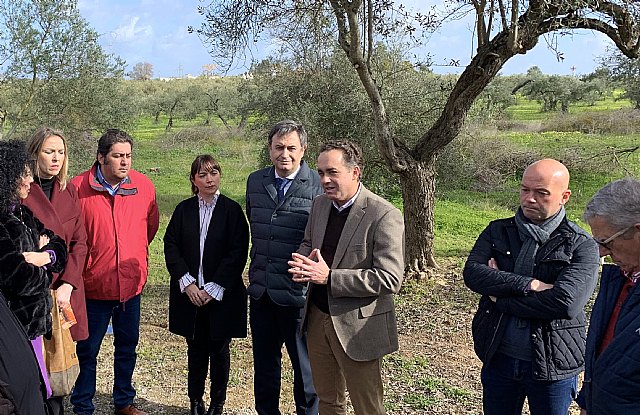 Fundación Endesa ilumina el megalito prehistórico de Matarrubilla - 1, Foto 1