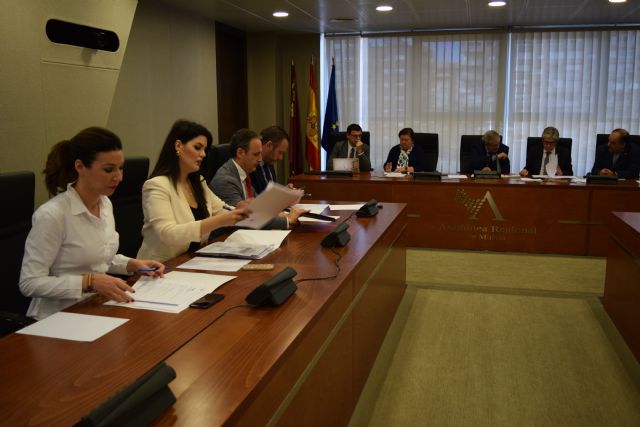 Joaquín Segado: Iniciamos la tramitación parlamentaria del presupuesto más social de los presentados por el Gobierno regional - 2, Foto 2