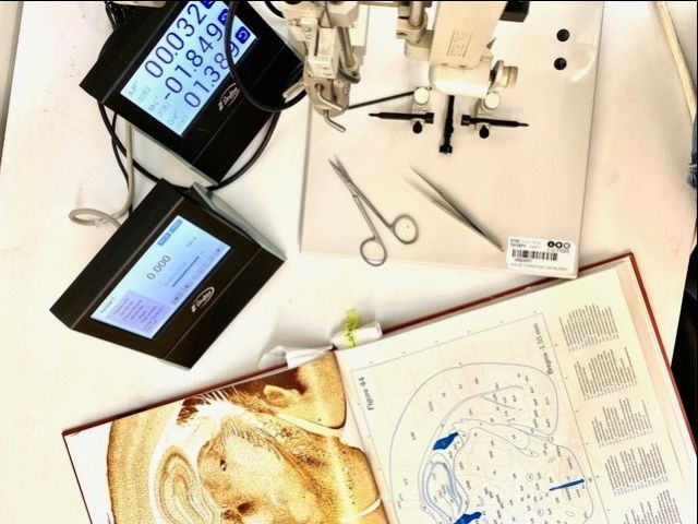 La Fundación Síndrome de Dravet y la Universidad de Tel Aviv se unen para el desarrollo de nuevas herramientas científicas - 1, Foto 1