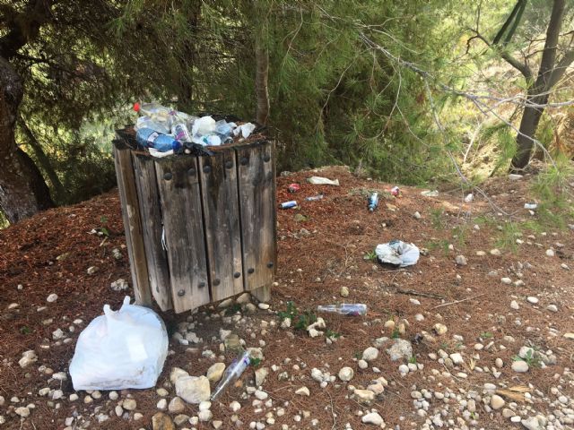 Pulmones verdes de Las Torres de Cotillas - 1, Foto 1