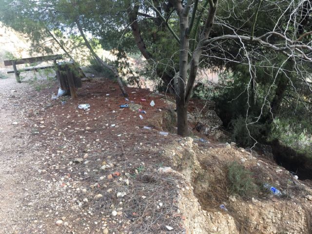 Pulmones verdes de Las Torres de Cotillas - 3, Foto 3