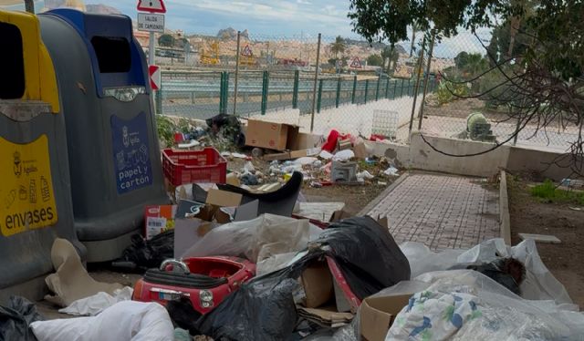 El Partido Popular exige la dimisión de la concejala de Limpieza por la falta de transparencia en su gestión - 1, Foto 1