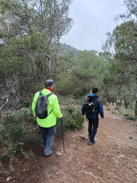 Regresan las rutas medioambientales gratuitas organizadas por el Ayuntamiento, con una salida al Pico del Águila - 2, Foto 2