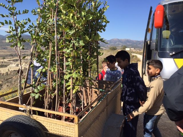 ¡Planta Vida! para un futuro ms verde en Gebas, Foto 1