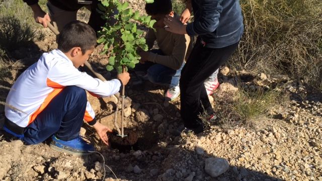 ¡Planta Vida! para un futuro ms verde en Gebas, Foto 7